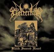 Capa do artigo Black Seared Heart - CD