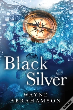 Capa do artigo Black Silver