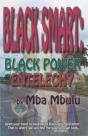 Black Smart - Preview