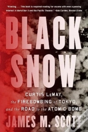 Capa do artigo Black Snow