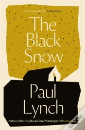 Capa do artigo Black Snow