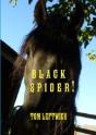 Black Spider ! - Preview