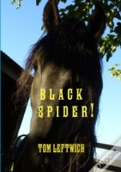 Capa do artigo Black Spider !