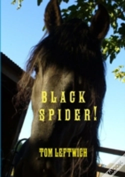 Capa do artigo Black Spider !