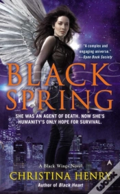 Capa do artigo Black Spring
