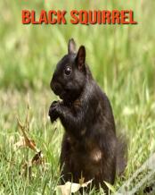 Black Squirrel