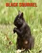 Black Squirrel - Preview