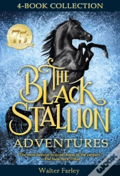 Capa do artigo Black Stallion Adventures