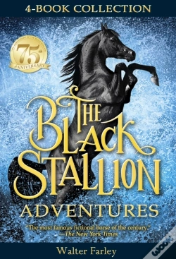 Capa do artigo Black Stallion Adventures