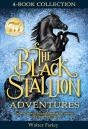 Black Stallion Adventures - Preview