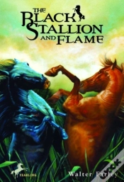 Capa do artigo Black Stallion And Flame