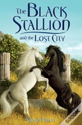 Black Stallion And The Lost City