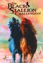 Black Stallion Challenged - Preview