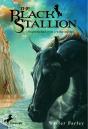 Black Stallion Etalon Noir - Preview