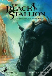 Capa do artigo Black Stallion Etalon Noir