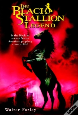 Capa do artigo Black Stallion Legend
