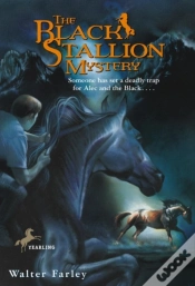 Capa do artigo Black Stallion Mystery