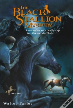 Capa do artigo Black Stallion Mystery