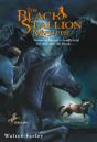 Black Stallion Mystery - Preview