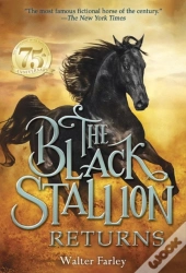 Black Stallion Returns