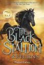 Black Stallion Returns - Preview
