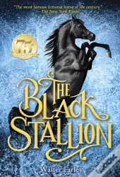 Black Stallion