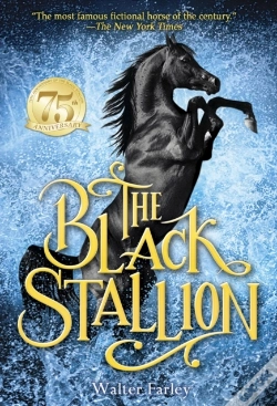 Capa do artigo Black Stallion