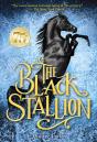 Black Stallion - Preview