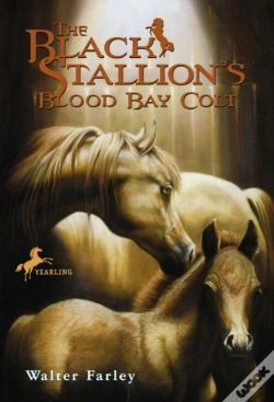 Capa do artigo Black Stallion'S Blood Bay Colt