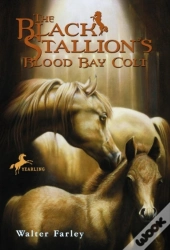 Black Stallion'S Blood Bay Colt