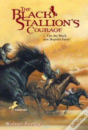 Capa do artigo Black Stallion