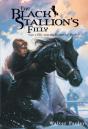 Black Stallion'S Filly - Preview