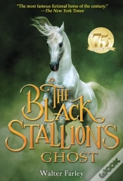 Capa do artigo Black Stallion