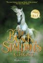 Black Stallion'S Ghost - Preview