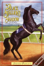 Black Stallion'S Shadow