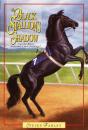 Black Stallion'S Shadow - Preview