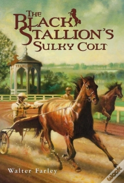 Capa do artigo Black Stallion'S Sulky Colt