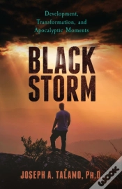 Capa do artigo Black Storm