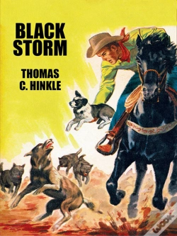 Capa do artigo Black Storm