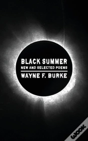 Capa do artigo Black Summer