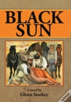 Capa do artigo Black Sun