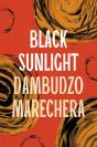Black Sunlight - Preview