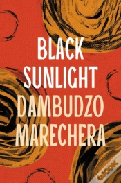 Capa do artigo Black Sunlight