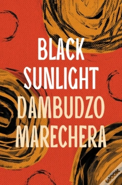 Capa do artigo Black Sunlight