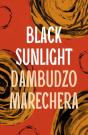 Black Sunlight - Preview