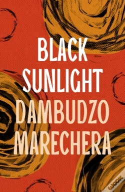 Capa do artigo Black Sunlight