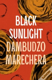 Capa do artigo Black Sunlight