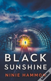 Capa do artigo Black Sunshine