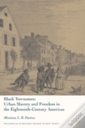 Capa do artigo Black Townsmen
