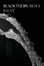 Black Tulips - Preview